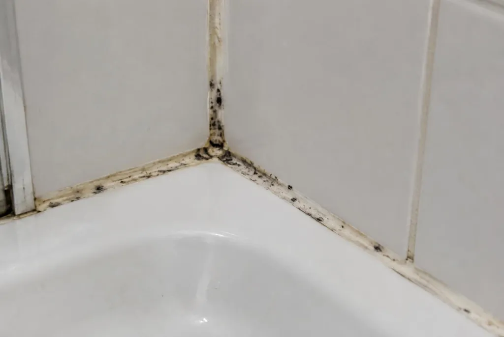 Kitbedrijf Barendrecht – beschimmelde kitranden
